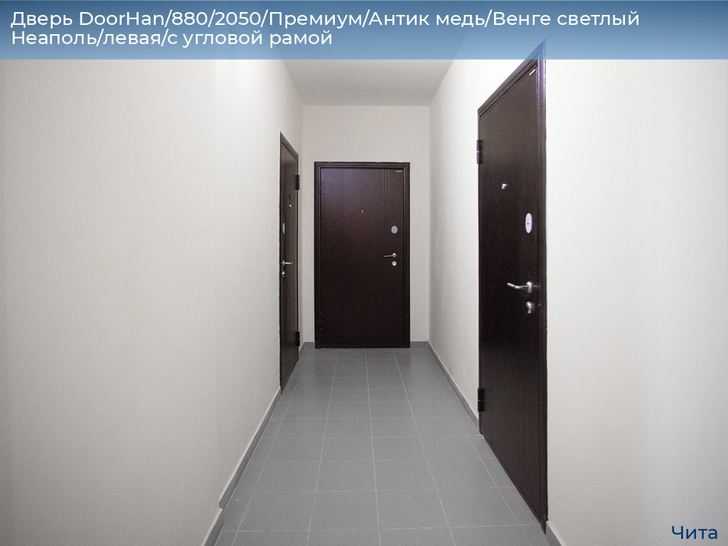 Дверь DoorHan/880/2050/Премиум/Антик медь/Венге светлый Неаполь/левая/с угловой рамой, chita.doorhan.ru