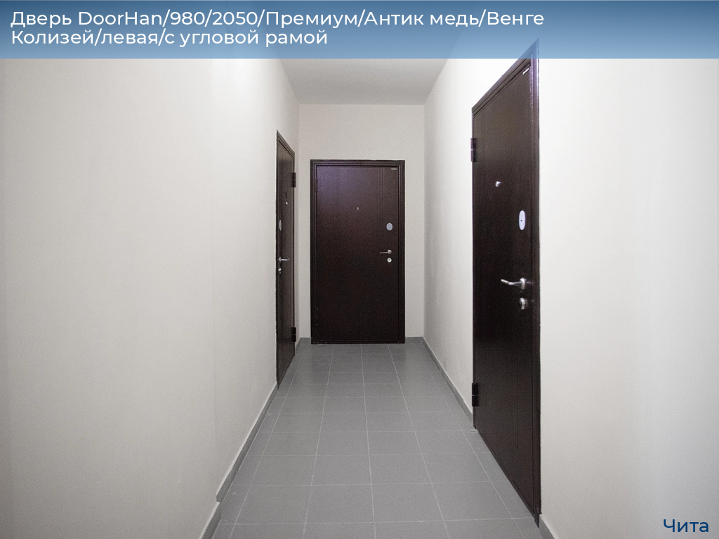 Дверь DoorHan/980/2050/Премиум/Антик медь/Венге Колизей/левая/с угловой рамой, chita.doorhan.ru
