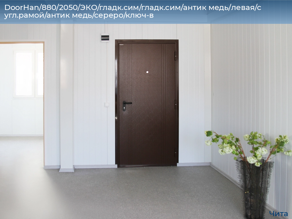 DoorHan/880/2050/ЭКО/гладк.сим/гладк.сим/антик медь/левая/с угл.рамой/антик медь/сереро/ключ-в, chita.doorhan.ru