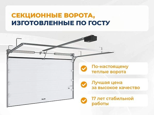 Cекционные ворота 3800х2500 мм белые DoorHan RSD02, chita.doorhan.ru